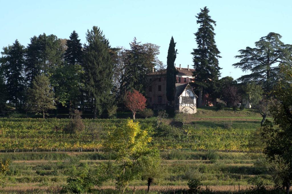 Villa Casali Del Picchio - Winery à Cividale del Friuli Extérieur photo